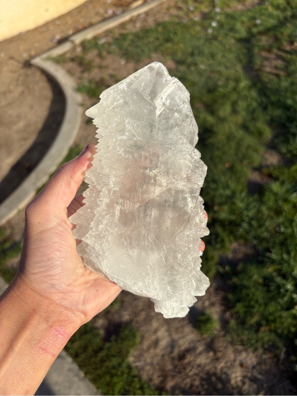 Large Angel Wing Selenite Crystal Slab